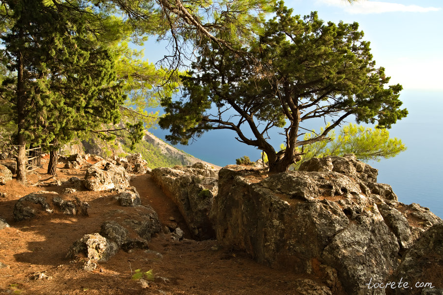Балкон Сфакьи (Святого Иоанниса) в лесу Какос Порос буквально утопает в зелени Балкон Сфакьи (Святого Иоанниса) в лесу Какос Порос буквально утопает в зелени