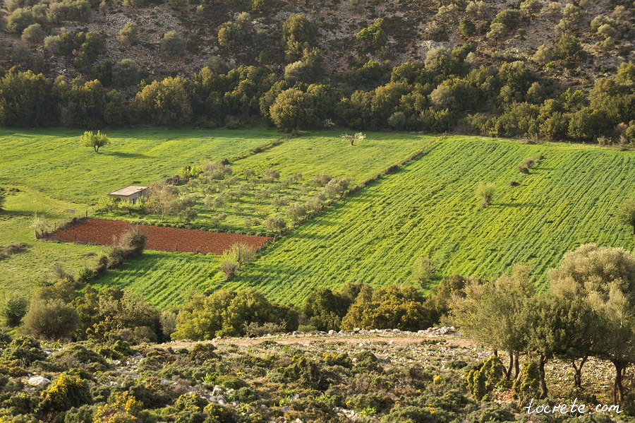 Плато Крапи. Западный Крит. Апрель 2014