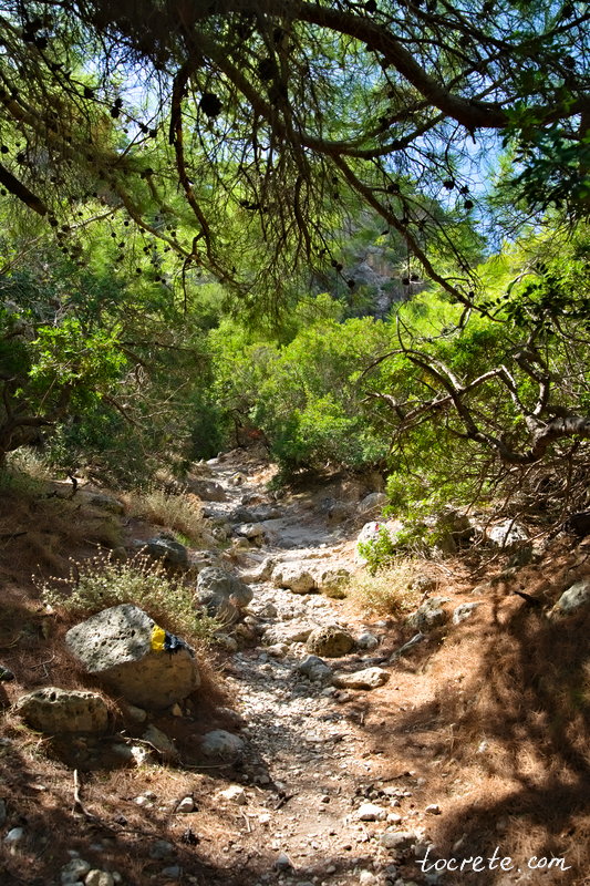 Древний Лиссос: почему мы вернулись сюда трижды и что археологи нашли в 2022