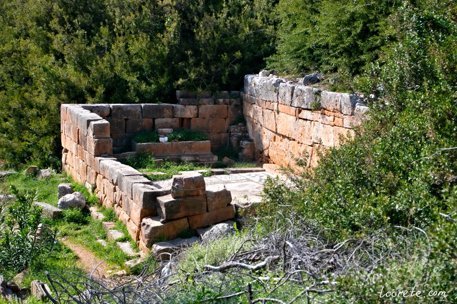 Древний Лиссос: почему мы вернулись сюда трижды и что археологи нашли в 2022