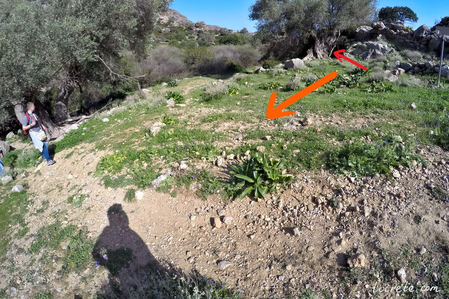 Древний Лиссос: почему мы вернулись сюда трижды и что археологи нашли в 2022