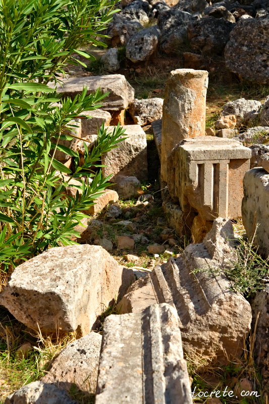 Древний Лиссос: почему мы вернулись сюда трижды и что археологи нашли в 2022