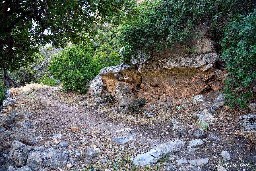 Древний Лиссос: почему мы вернулись сюда трижды и что археологи нашли в 2022