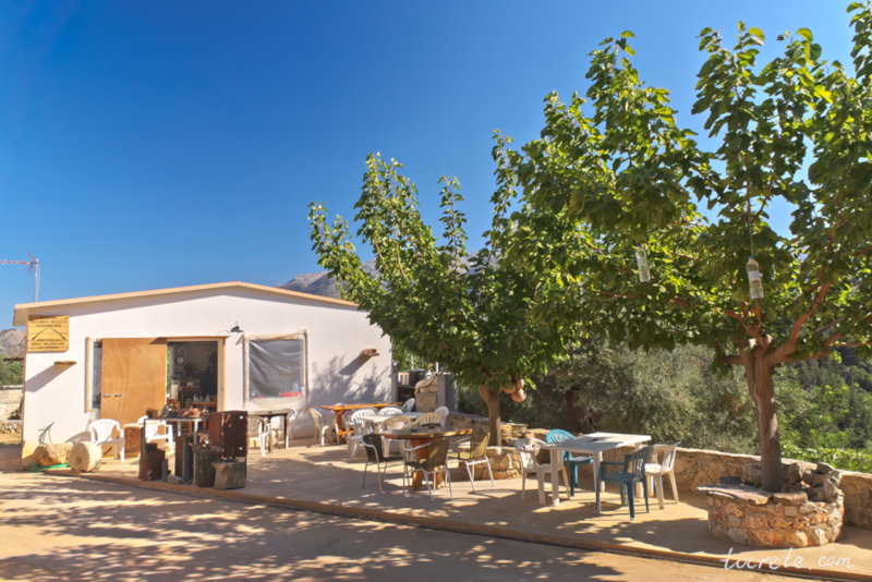 Роща старых оливковых деревьев и Исторический Военный музей Керамьи. Западный Крит