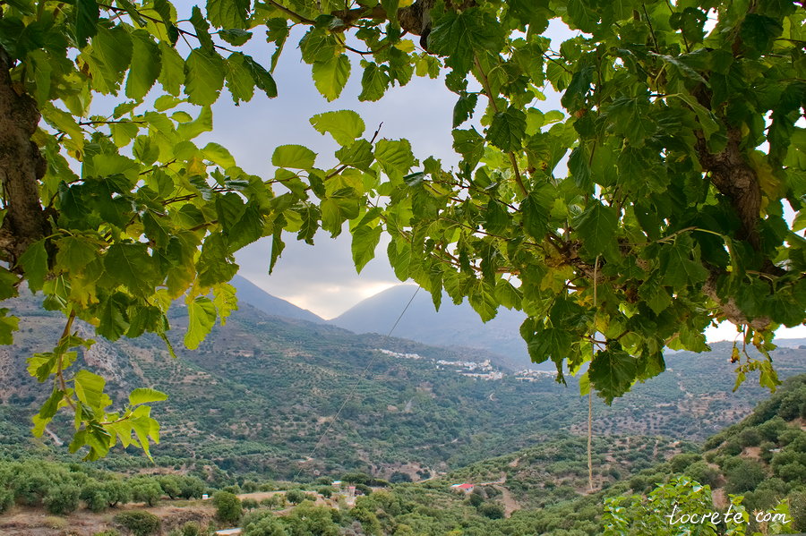 Турлоти - деревня на Крите