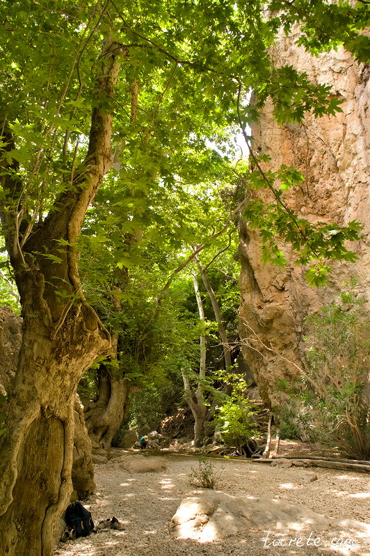 Ущелье и водопад Милона (водопад Милонас)