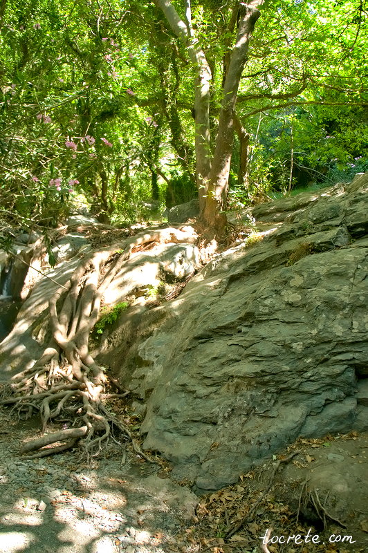 Ущелье и водопад Рихтис 