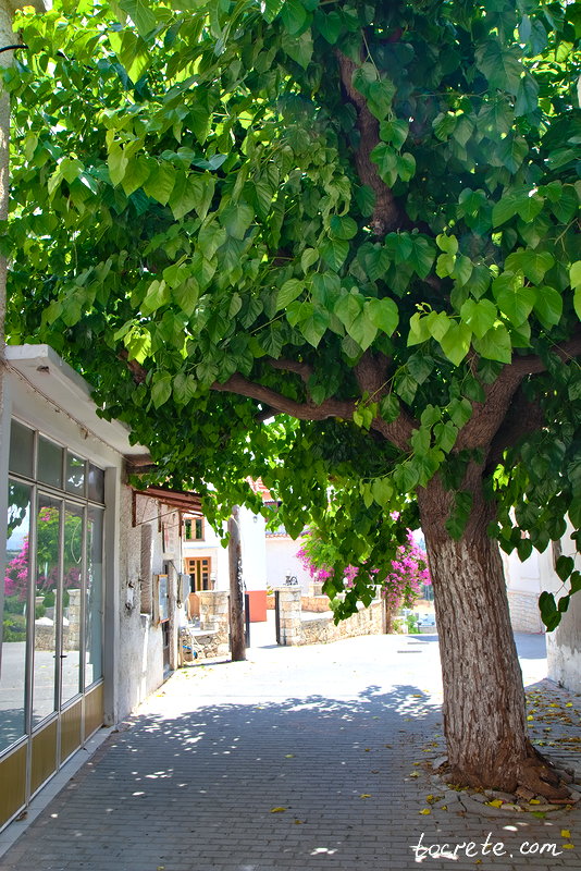 Деревня Принос (Πρίνος, Prinos) на Крите