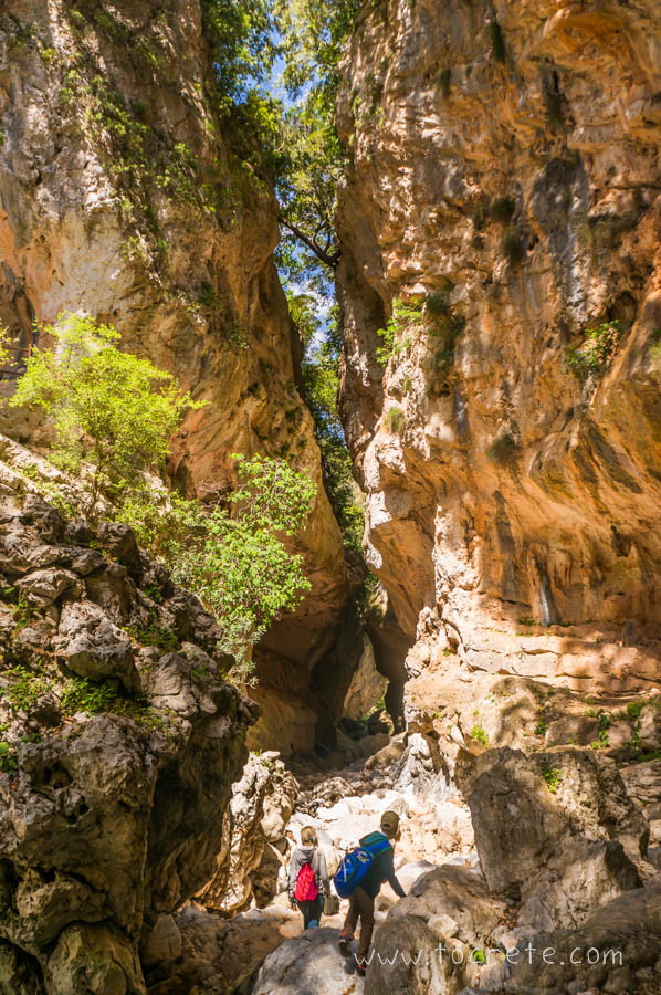 Ущелье Коллита. Крит