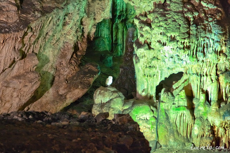Сова в пещере Мелидони