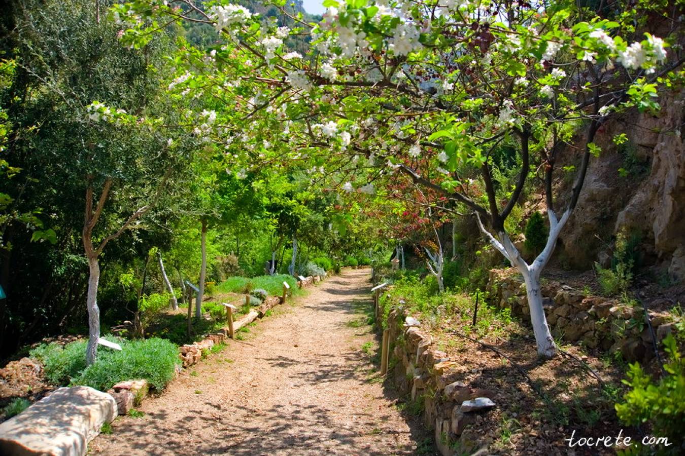 Ботанический парк