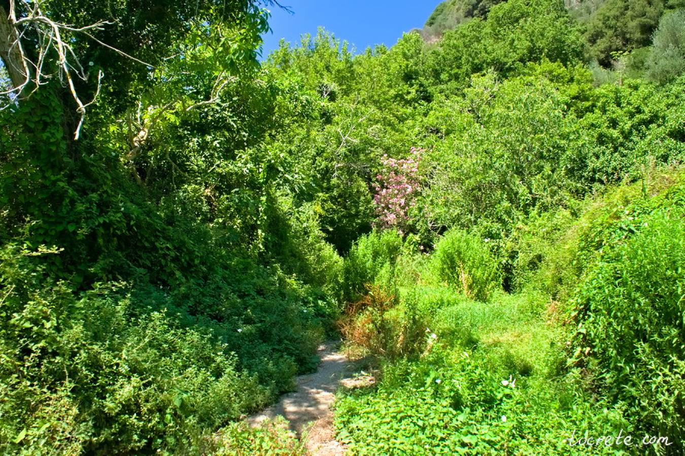 Ущелье и водопад Рихтис