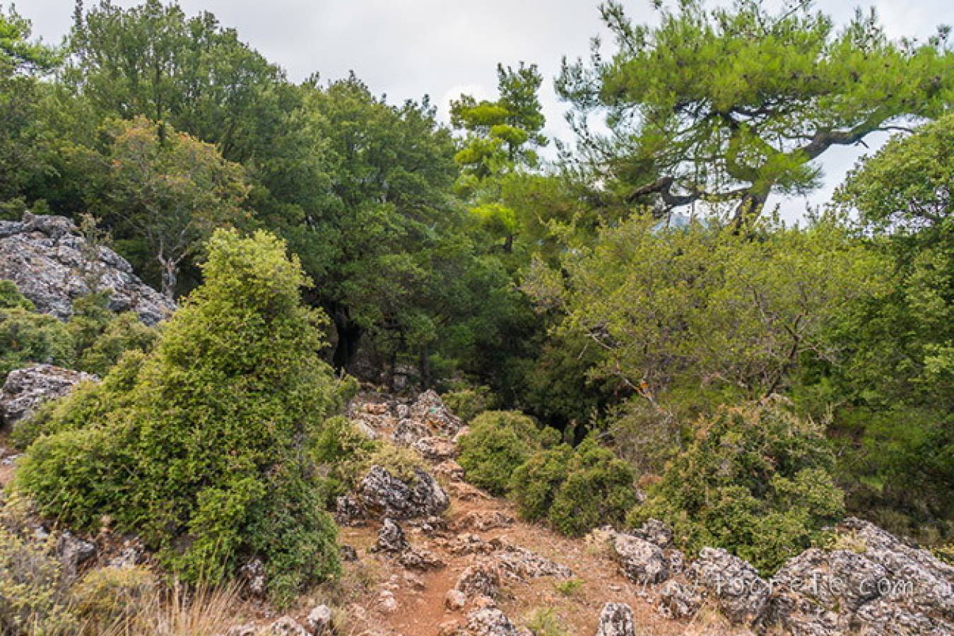 Исторический парк «Лес Крустас»