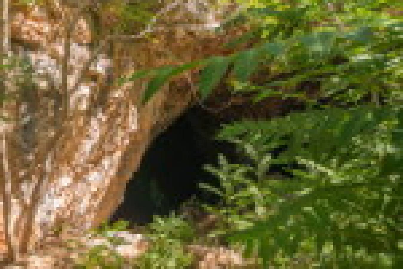 Пещера Святой Параскевы (Агия Параскеви)