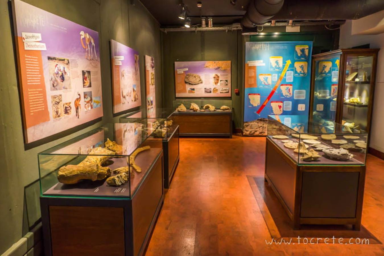 Музей естественной истории Крита