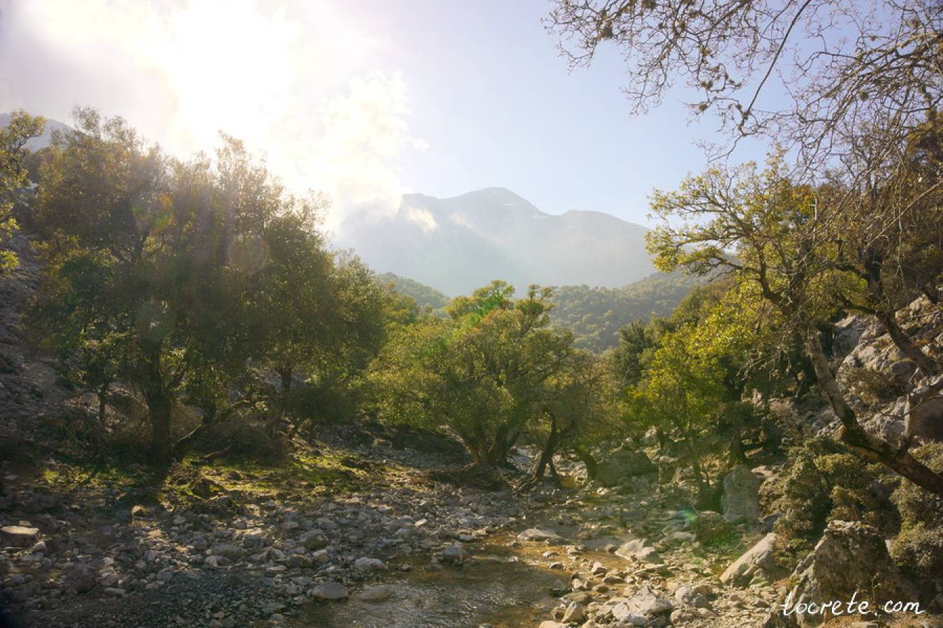 Ущелье Рувас (Ущелье Святого Николая)