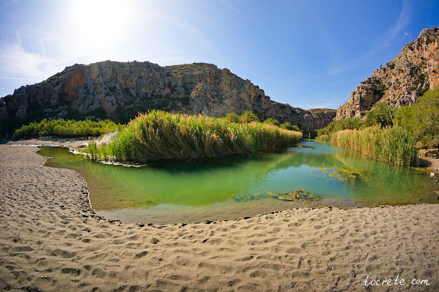 Пальмовый лес и пляж Превели (Preveli forest and beach)