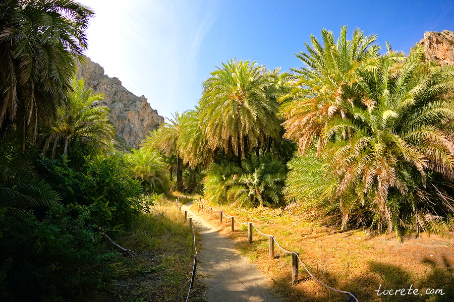 Пальмовый лес и пляж Превели (Preveli forest and beach)