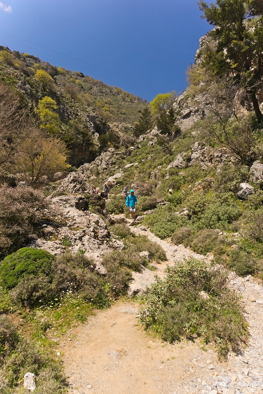 Ущелье Имброс (Imbros Gorge) Ущелье Имброс (Imbros Gorge)
