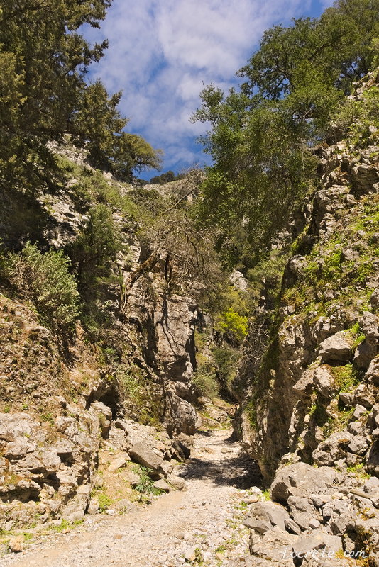 Ущелье Имброс (Imbros Gorge) Ущелье Имброс (Imbros Gorge)