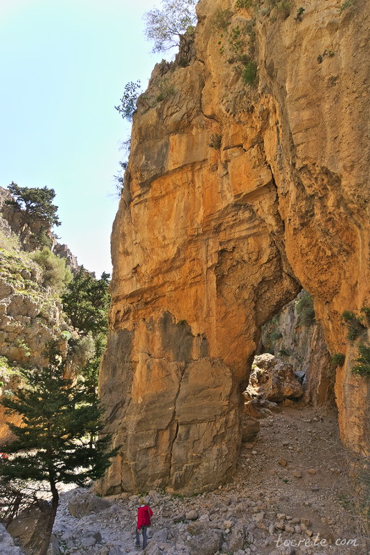 Ущелье Имброс (Imbros Gorge) Ущелье Имброс (Imbros Gorge)
