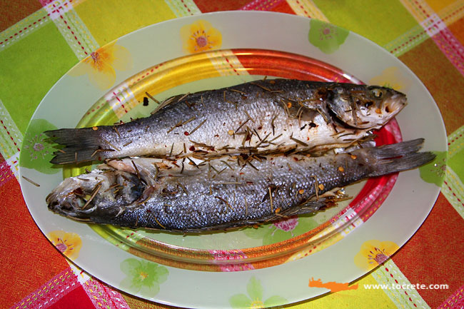Рыба Сибас