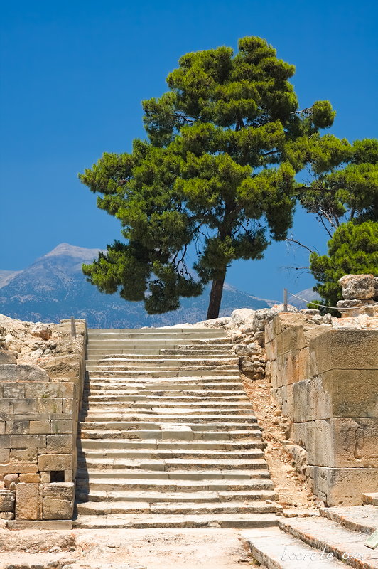 Фестский дворец (Phaistos Palace)