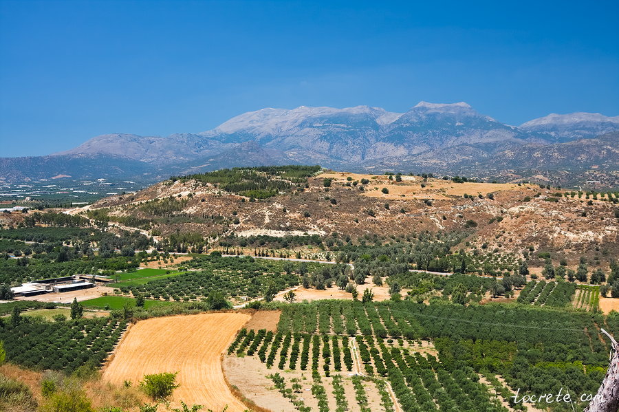 Фестский дворец (Phaistos Palace)