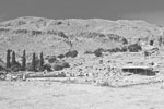 Дворец Закрос (Zakros Palace) Дворец Закрос (Zakros Palace)