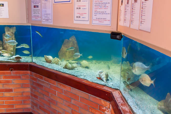 Аквариум Aquaworld на Крите. Херсониссос