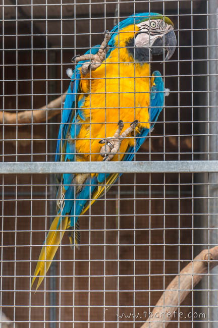 Amazonas Park на о. Крит Amazonas Park на о. Крит