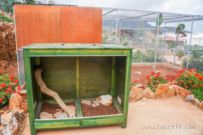 Кошка в Amazonas Park на о. Крит Кошка в Amazonas Park на о. Крит