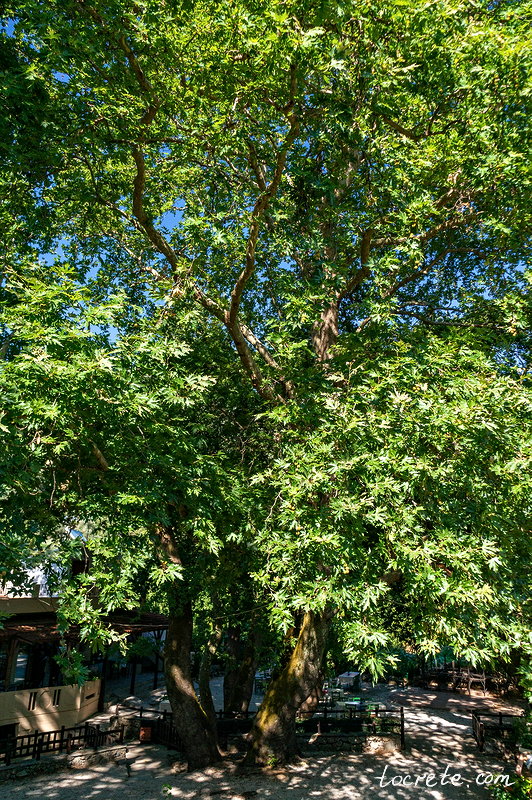 Деревня Мескла, Крит Деревня Мескла, Крит