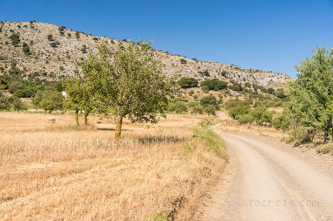 Плато Катаро (Καθαρό, Katharo) Плато Катаро (Καθαρό, Katharo)
