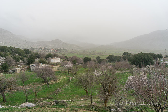 Плато Катаро (Καθαρό, Katharo) Плато Катаро (Καθαρό, Katharo)
