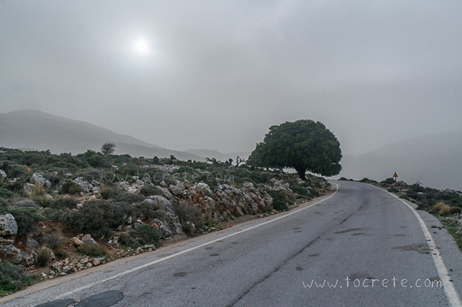 Дорога на плато Катаро (Καθαρό, Katharo) Дорога на плато Катаро (Καθαρό, Katharo)