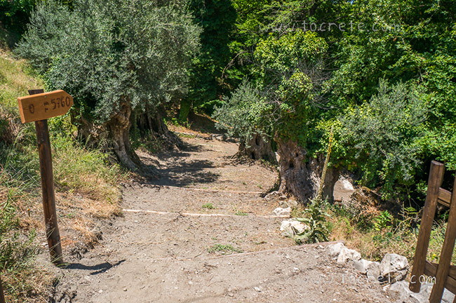 Ущелье Борьяна (Карану) | Boriana Gorge (Karanu Gorge) Ущелье Борьяна (Карану) | Boriana Gorge (Karanu Gorge)