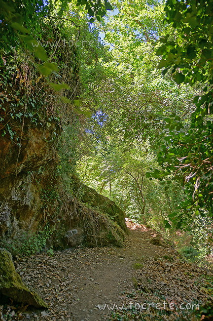 Ущелье Борьяна (Boriana Gorge) Ущелье Борьяна (Boriana Gorge)