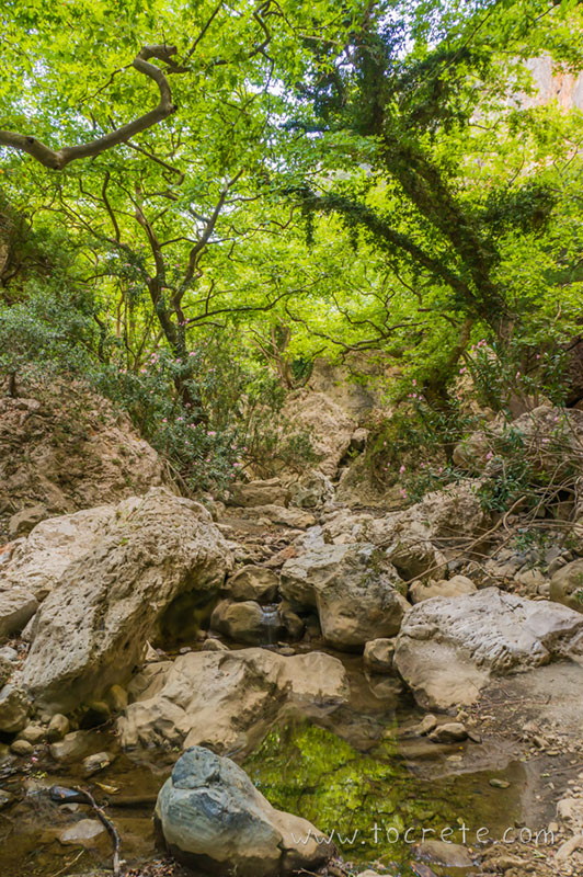 Ущелье Патсос (Patsos Gorge, Φαράγγι Πατσού)