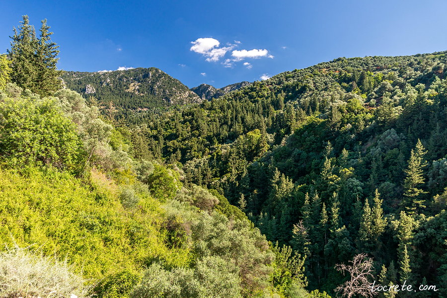 Ущелье Саракина в д. Мескла (Sarakina Gorge in Meskla)