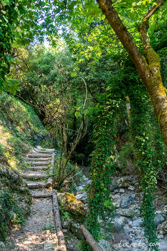 Ущелье Саракина в Мескле (Sarakina Gorge in Meskla)