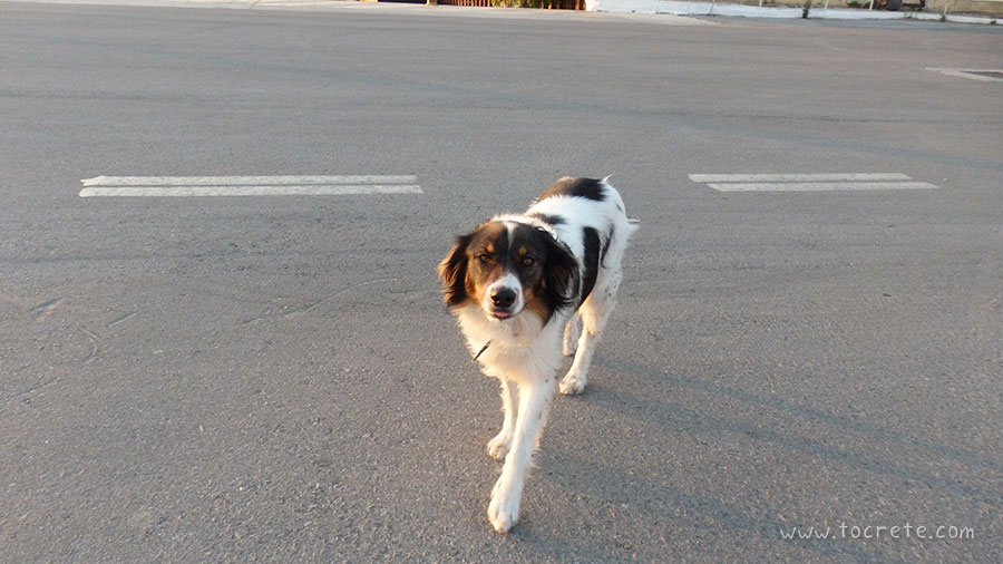 Крит глазами ребенка