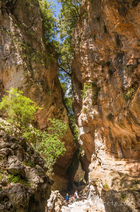 Ущелье Коллита (Φαράγγι Κολλητά, Kollita Gorge) Ущелье Коллита (Φαράγγι Κολλητά, Kollita Gorge)