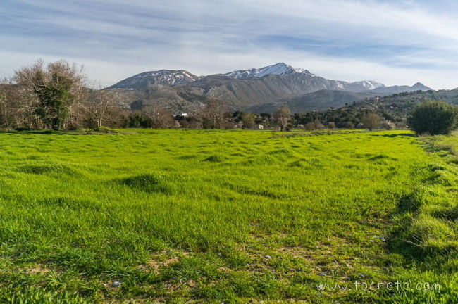 Плоскогорье Лассити (Lassithi Plateau) Плоскогорье Лассити (Lassithi Plateau)