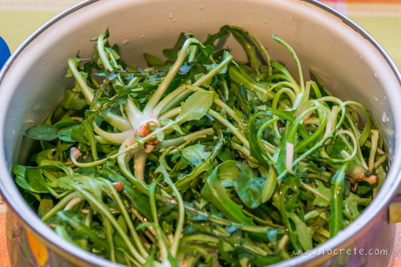Салат из стамнагафи (Σταμναγκάθι σαλάτα, Stamnagathi salad)