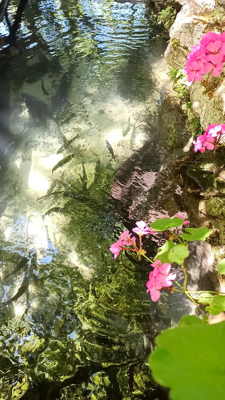 Кругом вода или Аргируполи в мае. 23 мая 2021 Кругом вода или Аргируполи в мае. 23 мая 2021